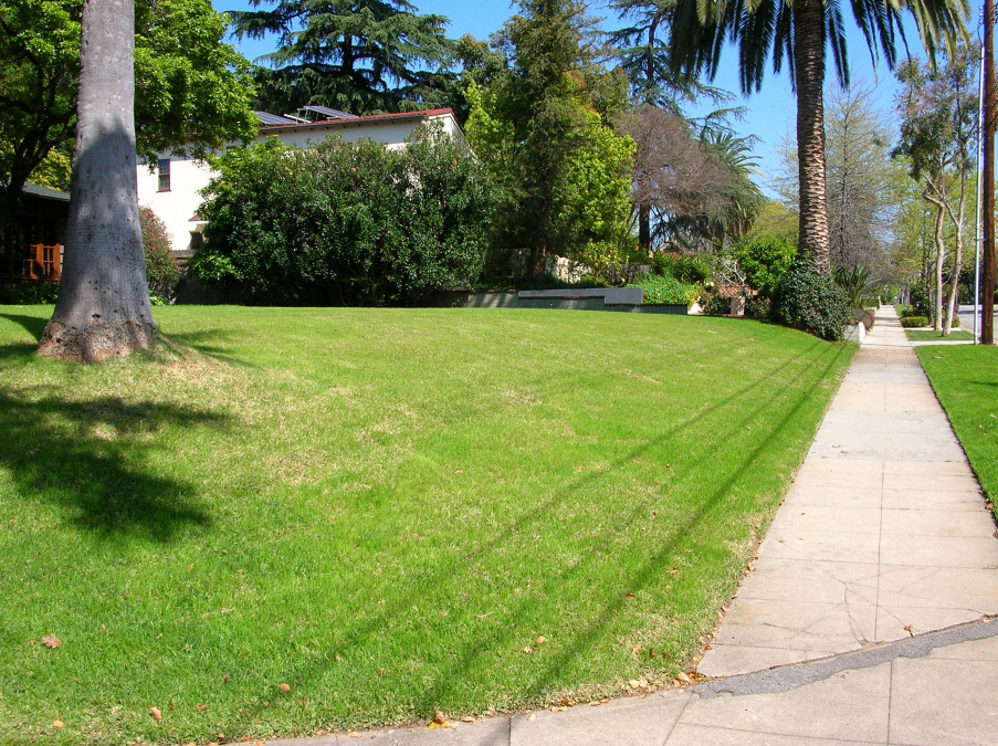 Alison Lotterstein Landscape Design