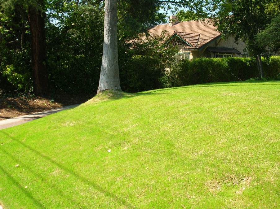 Alison Lotterstein Landscape Design