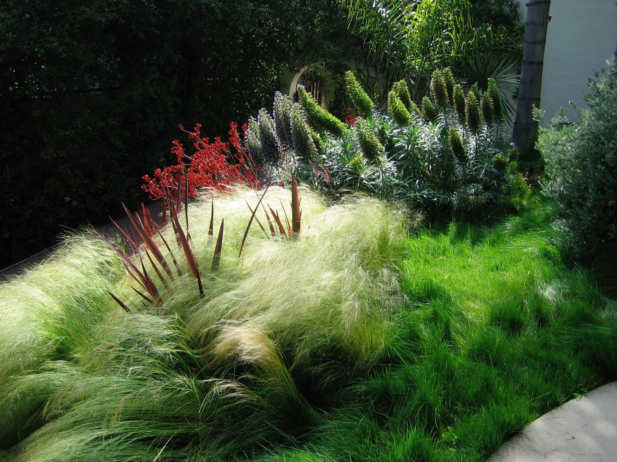 Alison Lotterstein Landscape Design