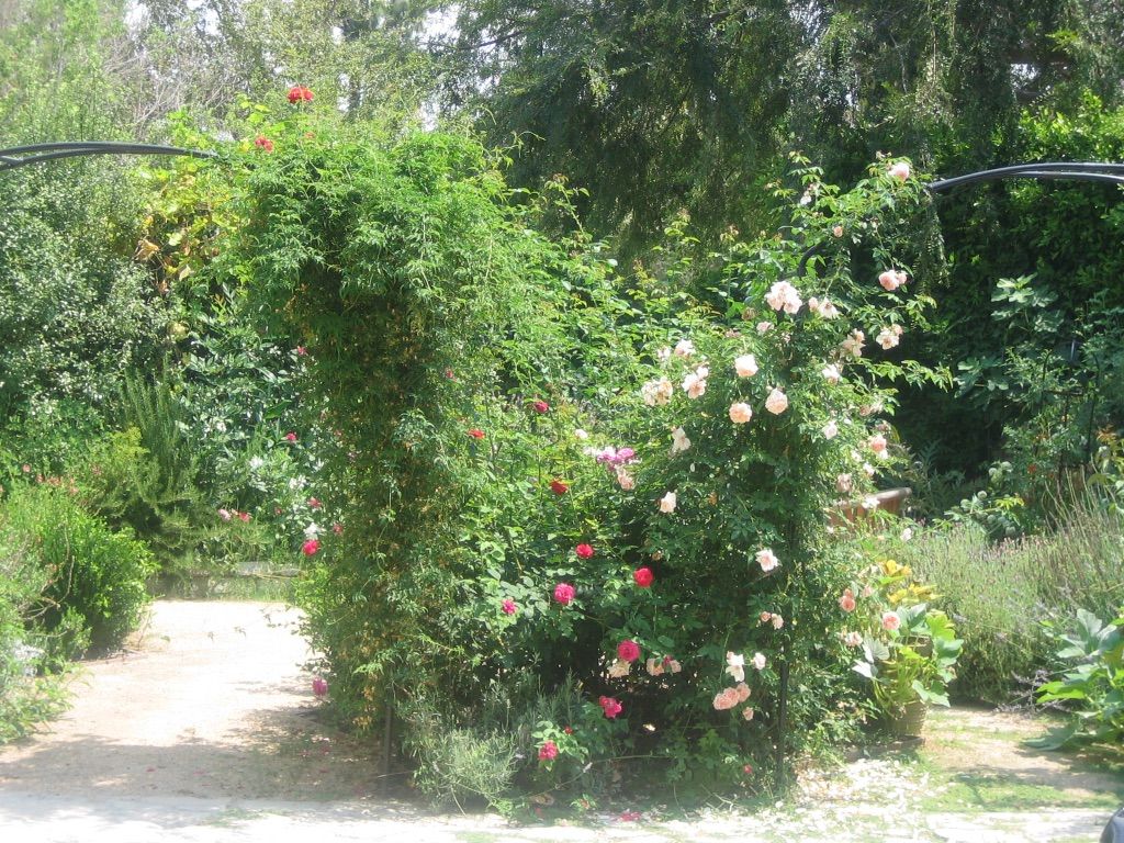 Alison Lotterstein Landscape Design