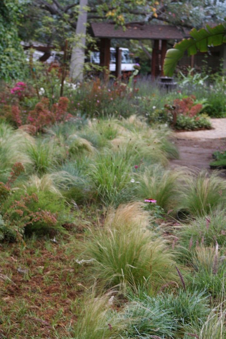 Alison Lotterstein Landscape Design